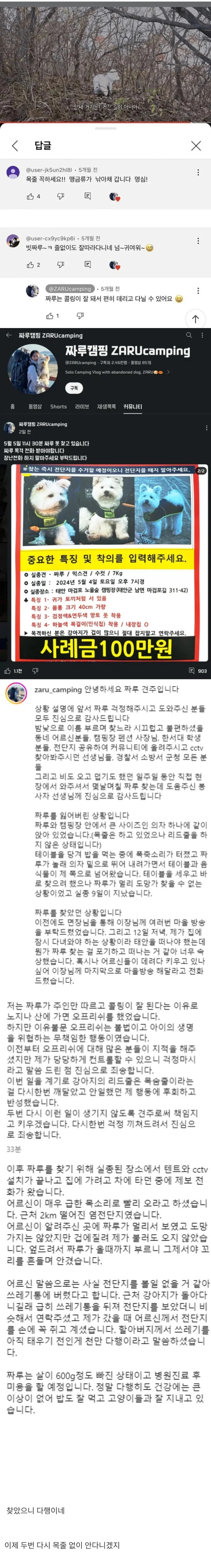 목줄 없이 개와 캠핑하던 유튜버 jpg._1.webp