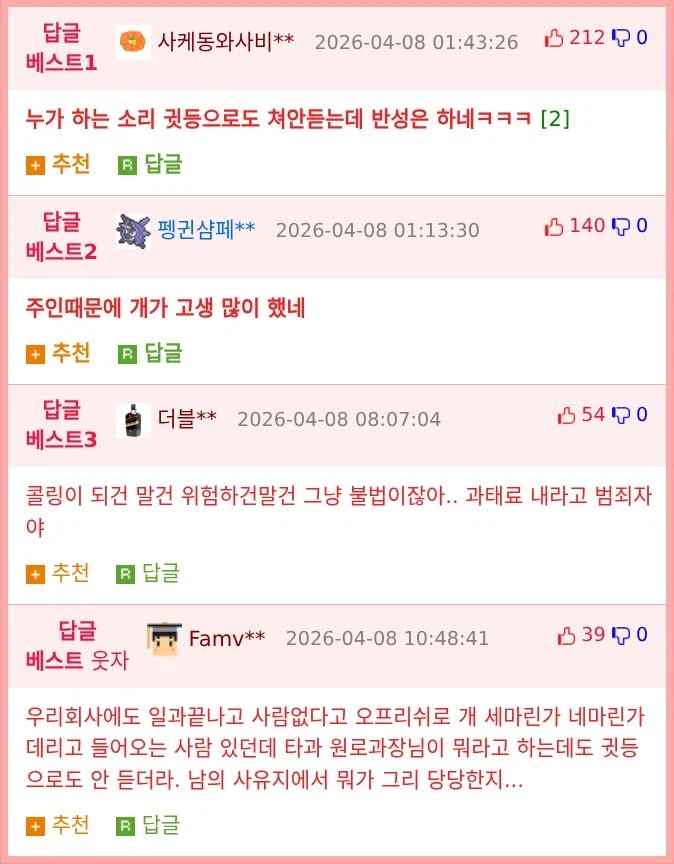 목줄 없이 개와 캠핑하던 유튜버 jpg._2.webp