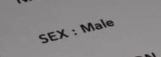 이놈 뭔데 매일 ㅅㅅ하지?_2.webp