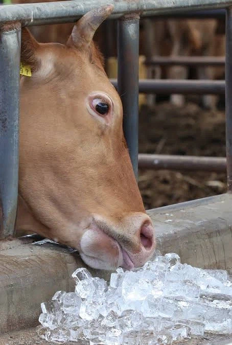 자신이 똑똑하다고 믿는 찐따들 특징.jpg_8.webp