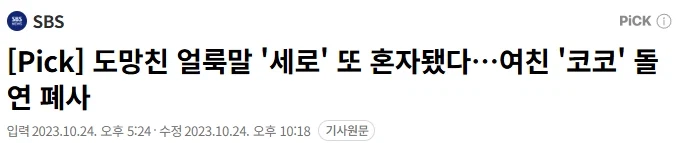 오월드 늑대보다 먼저 탈출해 세상을 맛본 동물_5.webp