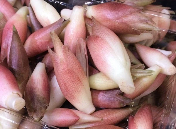 프랑스 식재료 샬롯과 매우 비슷한 한국의 식재료.jpg_1.webp