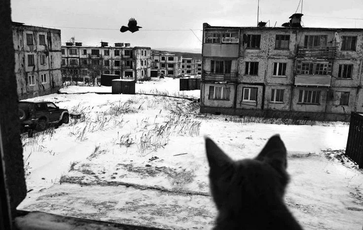 이런 단지에서 살고싶다_1.webp