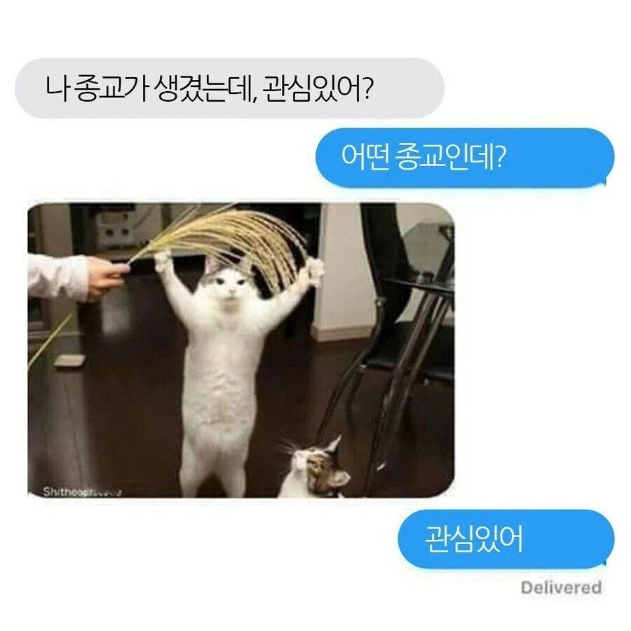 나 종교 생겼는데 관심있어?_1.webp