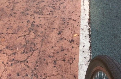 벚꽃 지고 난 뒤에는 뭐가 오죠? 허무해요 ㅠㅠ_2.webp