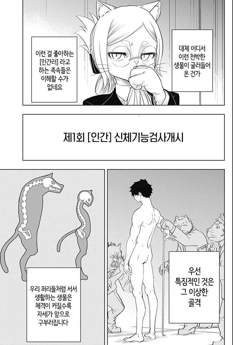 인간애호가 히토너_7.webp