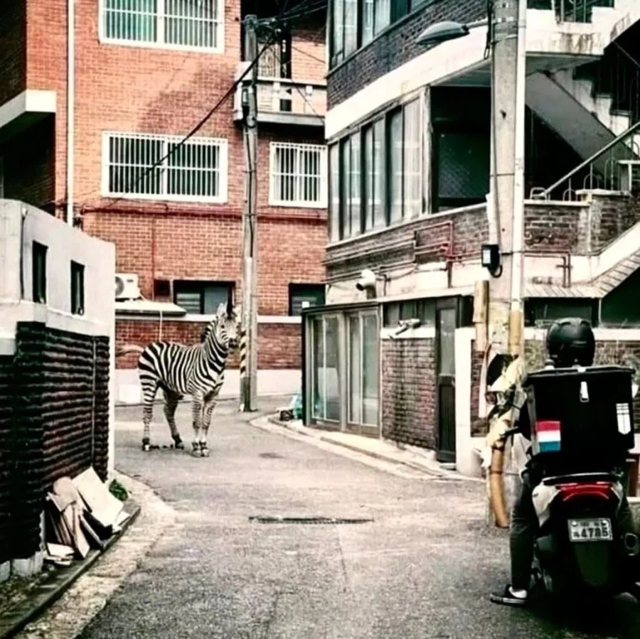 대한민국 K 플리쳐상_2.webp