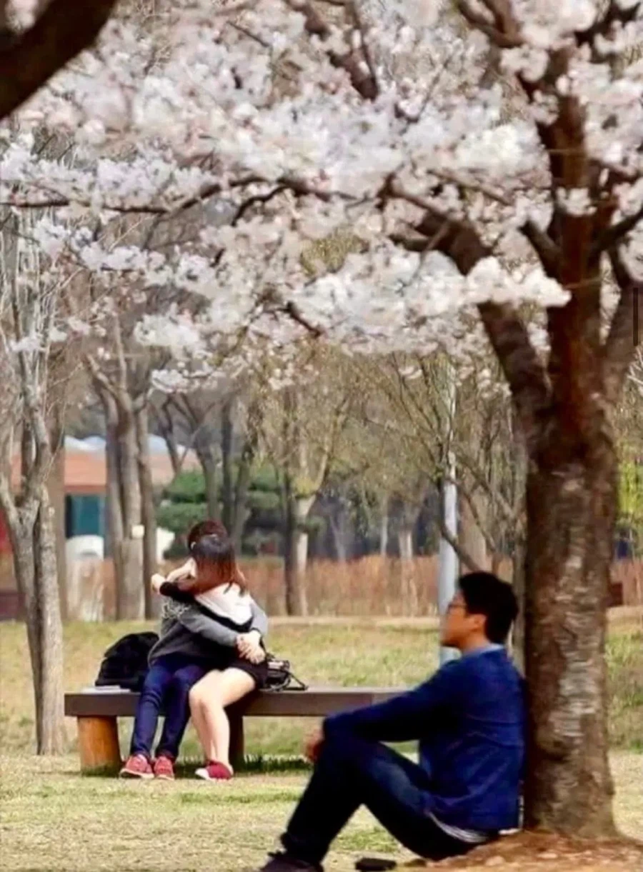 대한민국 K 플리쳐상_4.webp