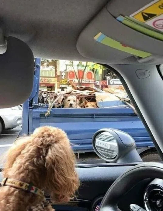 대한민국 K 플리쳐상_7.webp