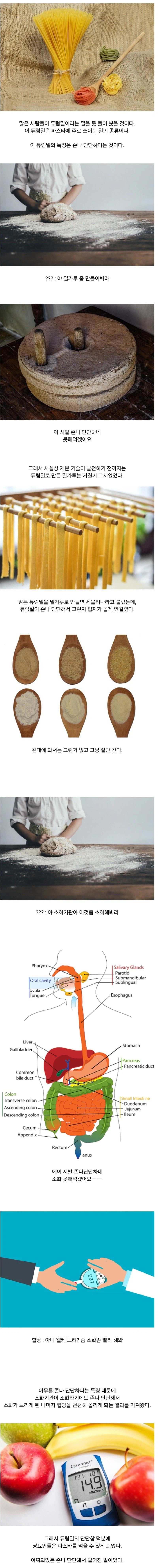 밀인데 ㅈ나 단단한 밀 jpg._1.webp