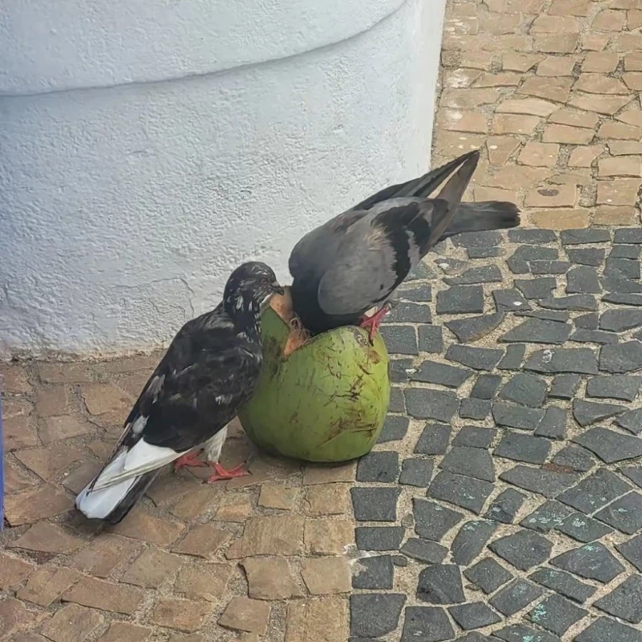 음식을 허겁지겁 먹으면 안되는 이유_1.webp