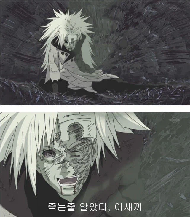 포챔스) 포악귀들의 기대와 현실_2.webp