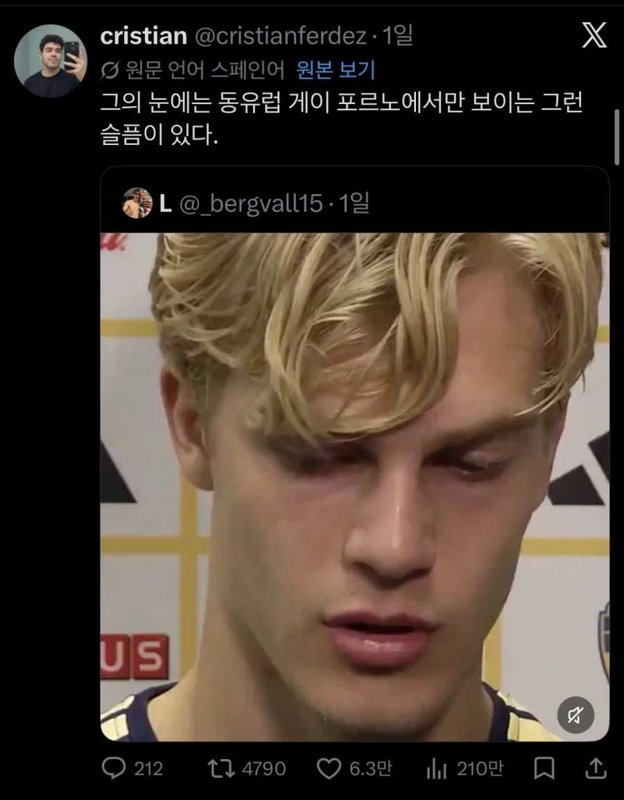 X의 자동번역 소참사_1.webp