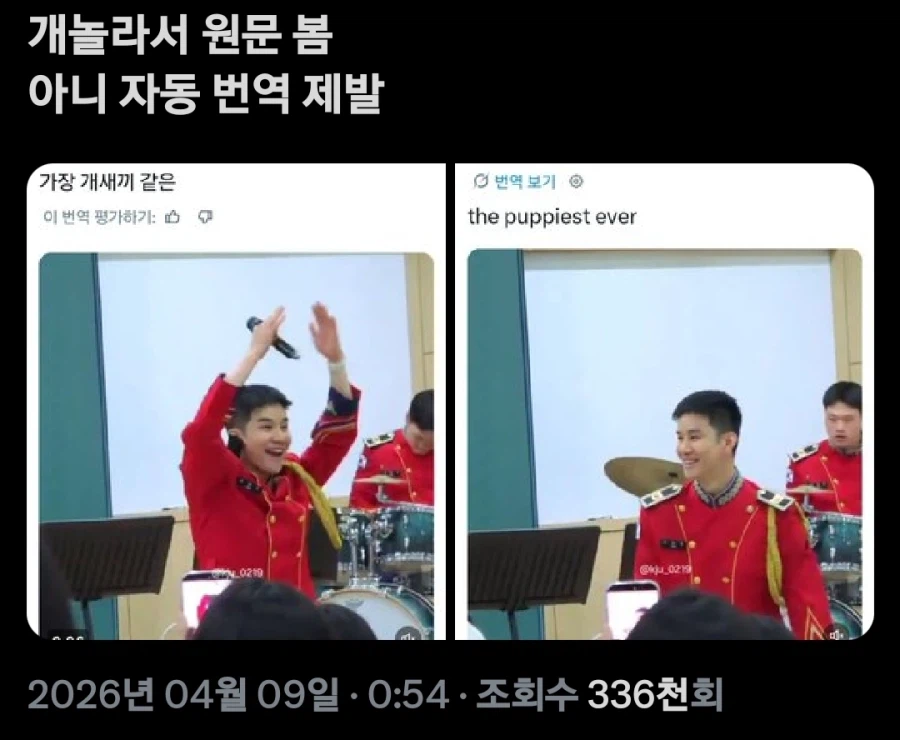 X의 자동번역 소참사_2.webp