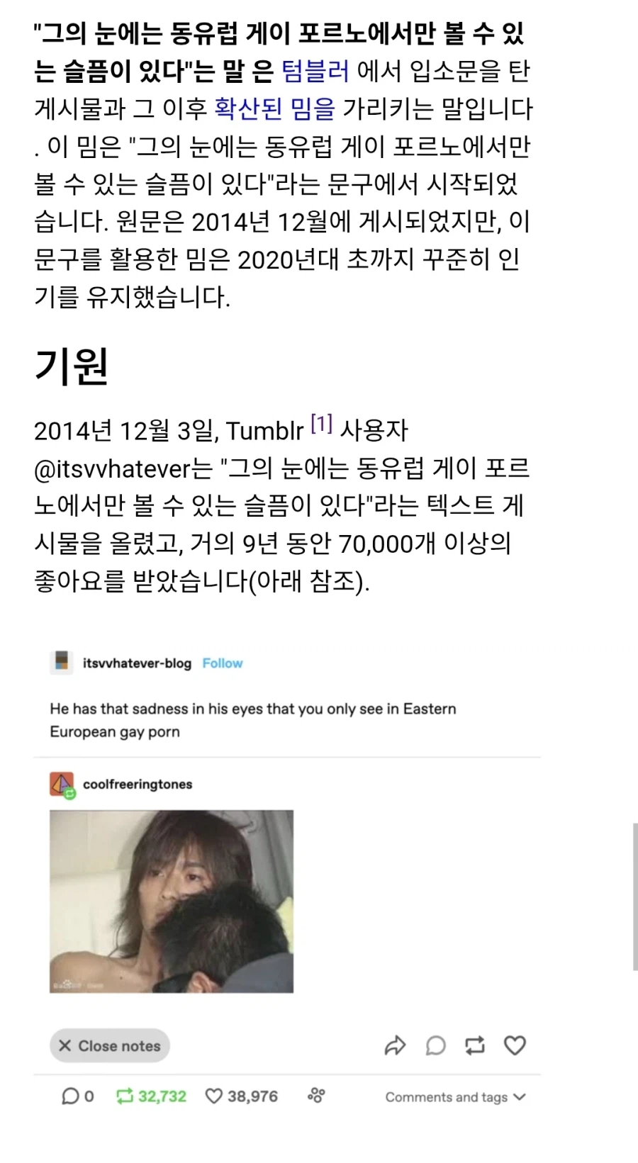 그의 눈에는 동유럽 게이 ㅍㄹㄴ에서만 볼 수 있는 슬픔이_2.webp