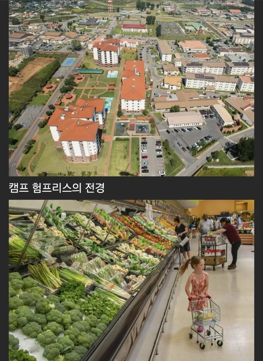 주한미군 최대기지 풍경.jpg_1.webp