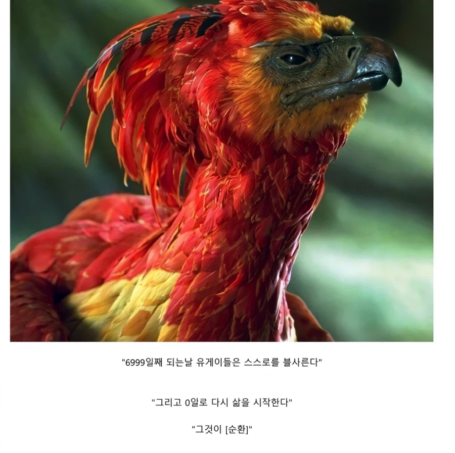 ??? : 출석일 7천일짜리 유저가 대체 어디있어요ㄱㅋㅋㅋㅋ_1.webp