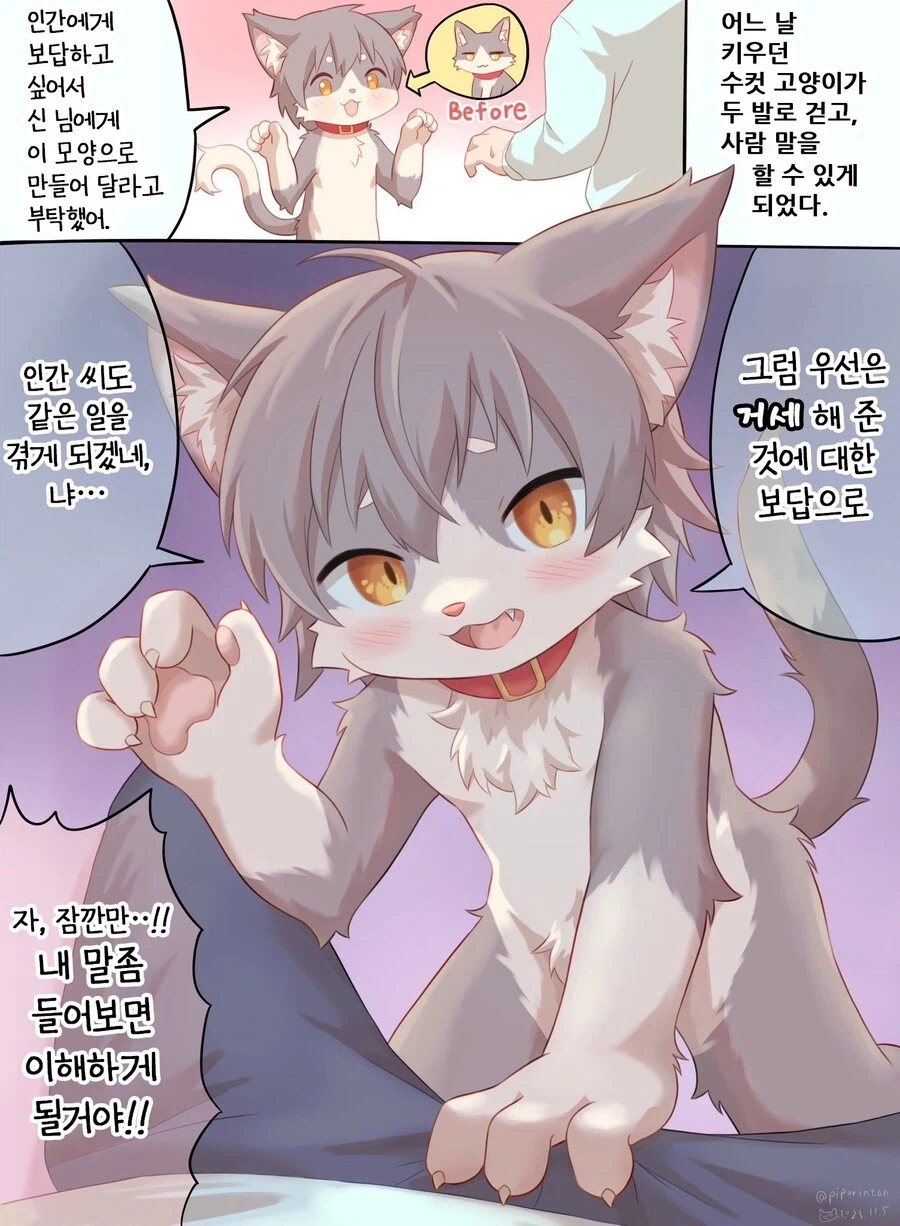 은혜갚는 고양이_1.webp