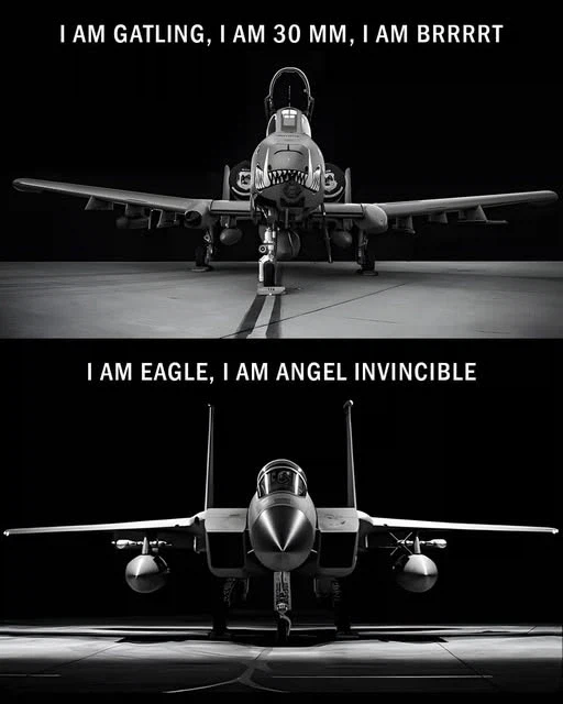 미 공군 역사상 누가 먼저 퇴역할까... 경쟁이다._7.webp