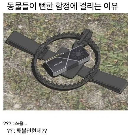 동물들이 뻔한 함정에 걸리는 이유_1.webp