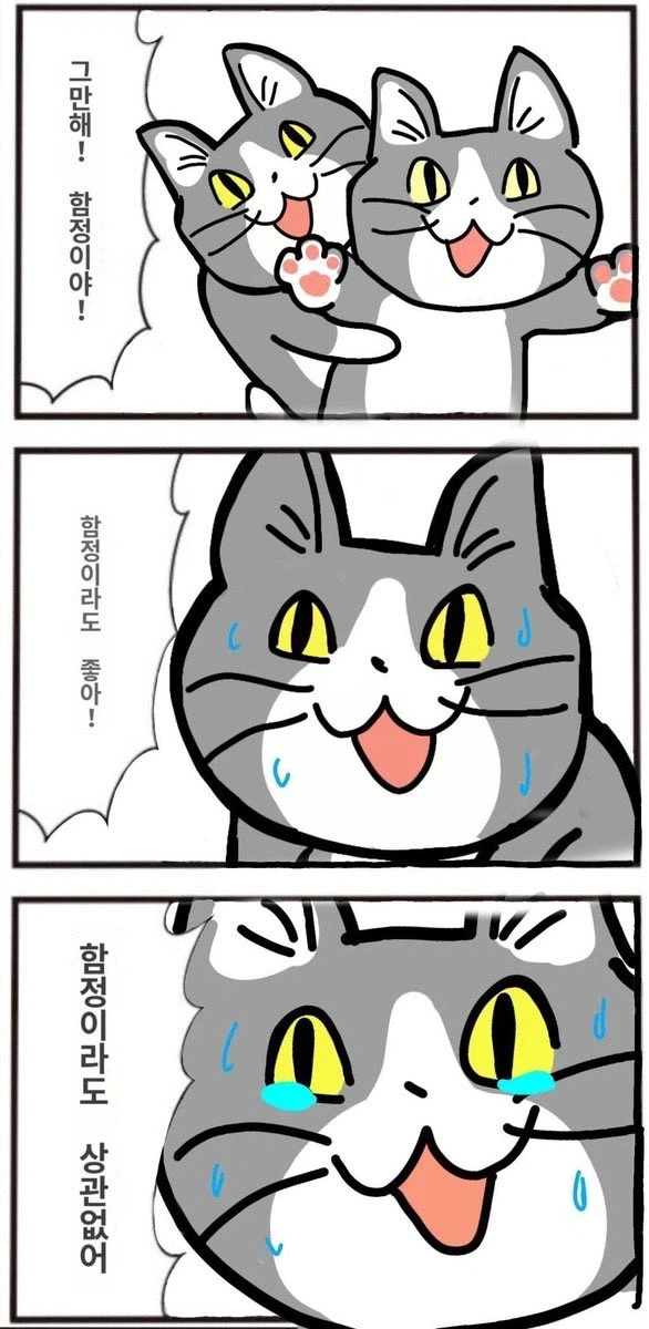 동물들이 뻔한 함정에 걸리는 이유_2.webp