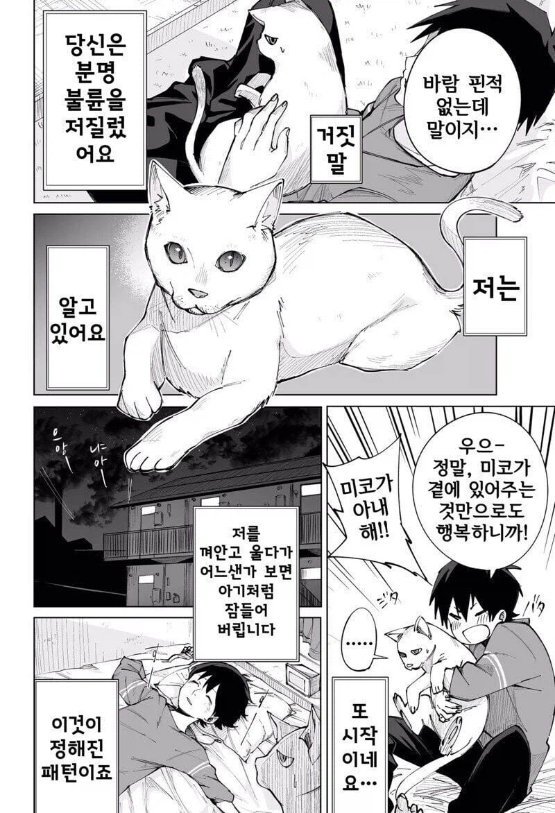 고양이를 키워야 하는 이유 Manhwa_2.webp