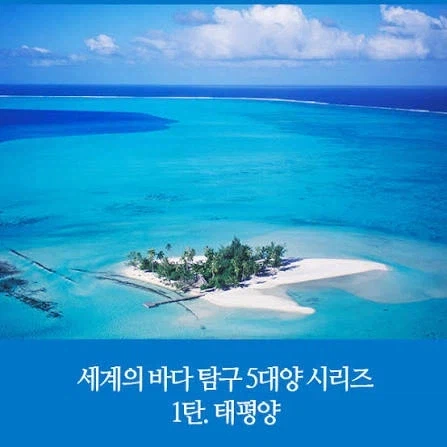 떡툰 보는데 뭔 보지가 태평양만하네_1.webp