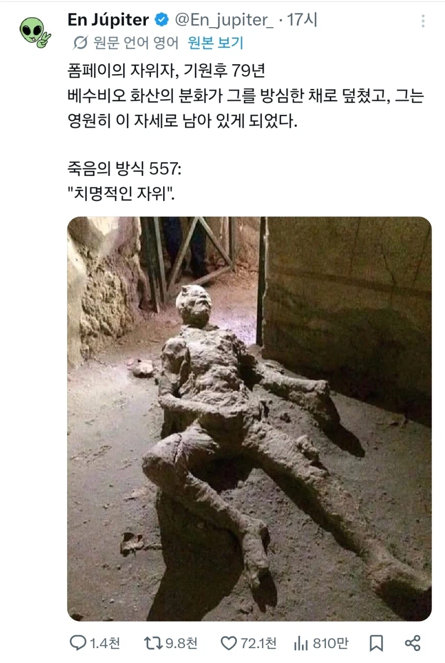 19세기 동안 박제된_1.webp