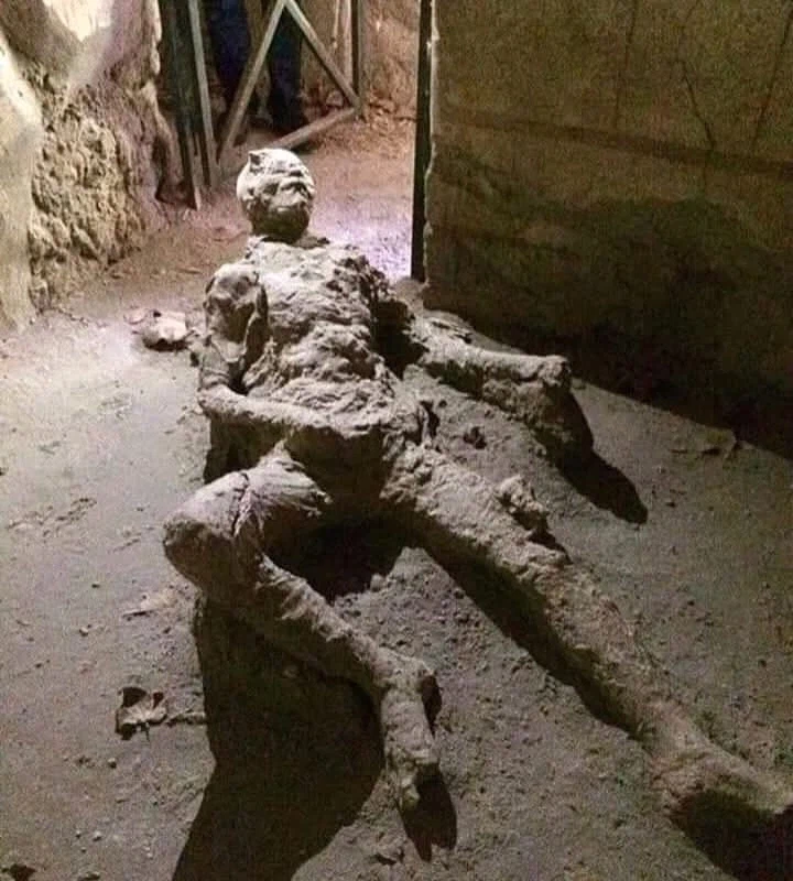 19세기 동안 박제된_2.webp