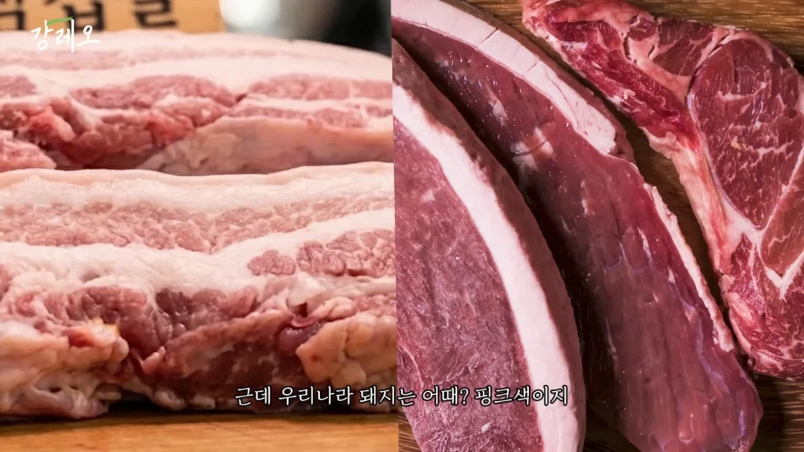 유튜브) 한국 고기는 아쉽다는 강레오_20.webp