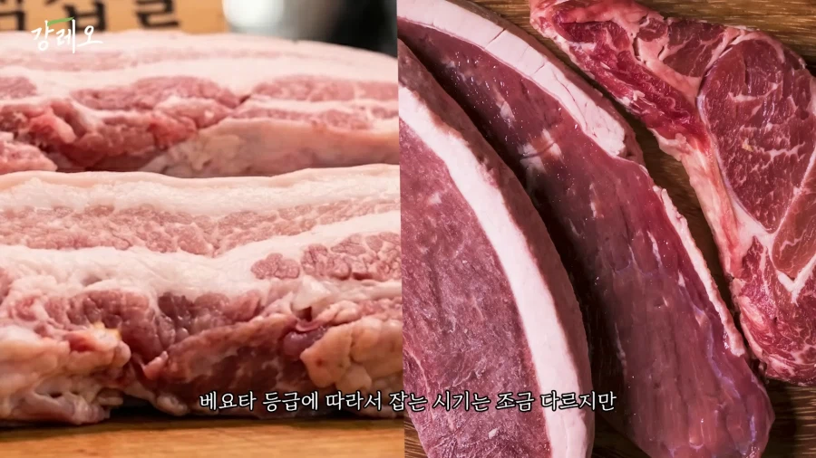 유튜브) 한국 고기는 아쉽다는 강레오_23.webp