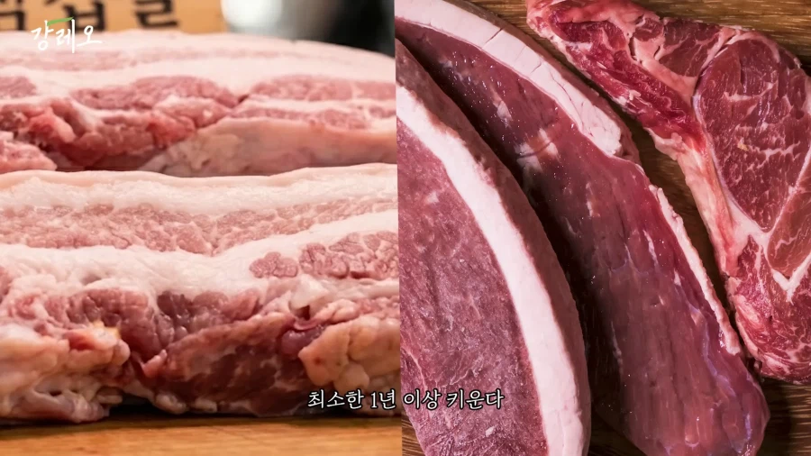 유튜브) 한국 고기는 아쉽다는 강레오_24.webp