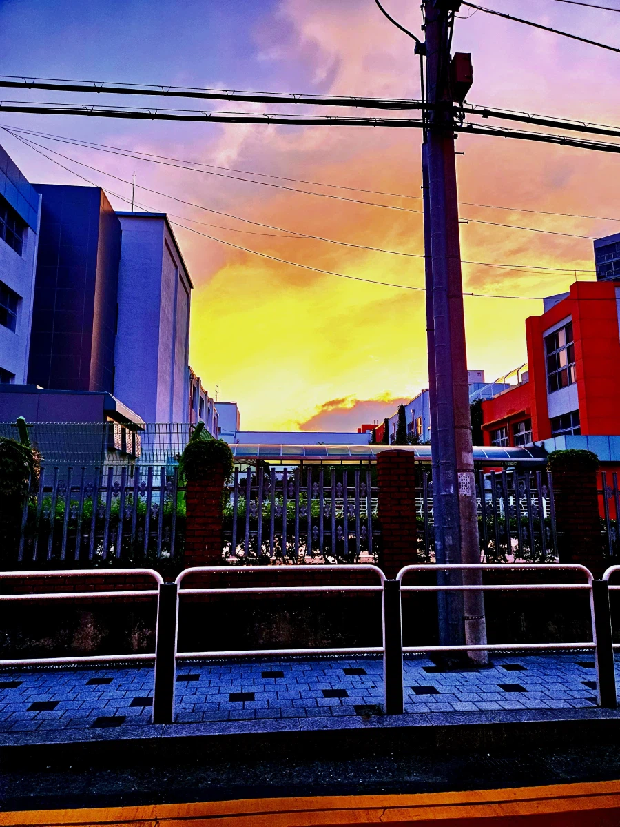 나도 우리동네 사진 찍은거 올려봄!_2.webp