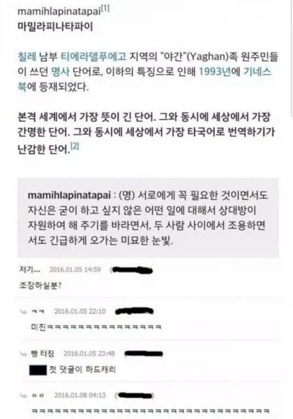 세계에서 가장 뜻이 긴 단어,