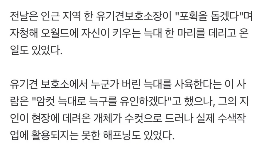 대전 늑대 미인계가 실패한 이유_2.webp