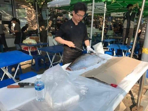 대학 축제 생태계 교란종_2.webp