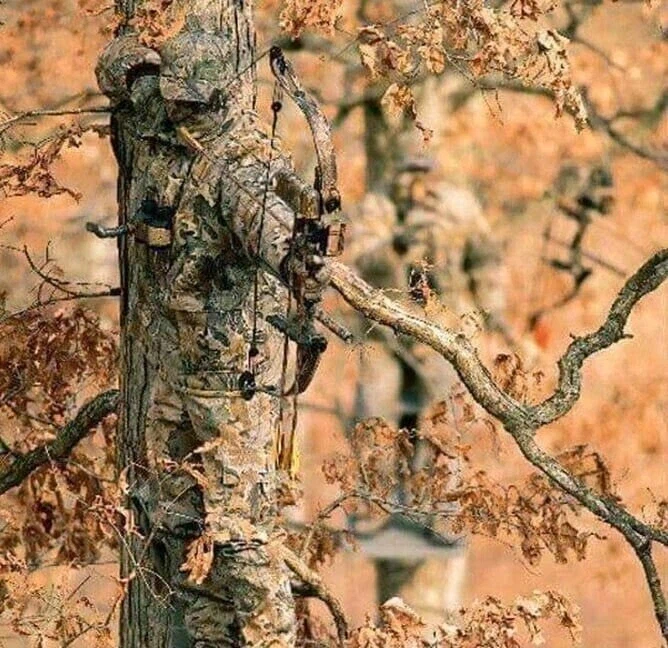 위장한 사냥꾼들.jpg_2.webp