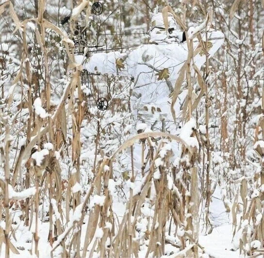 위장한 사냥꾼들.jpg_4.webp