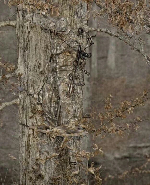 위장한 사냥꾼들.jpg_5.webp