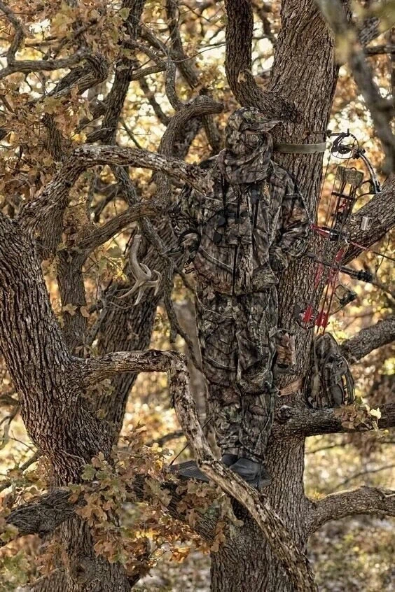 위장한 사냥꾼들.jpg_6.webp