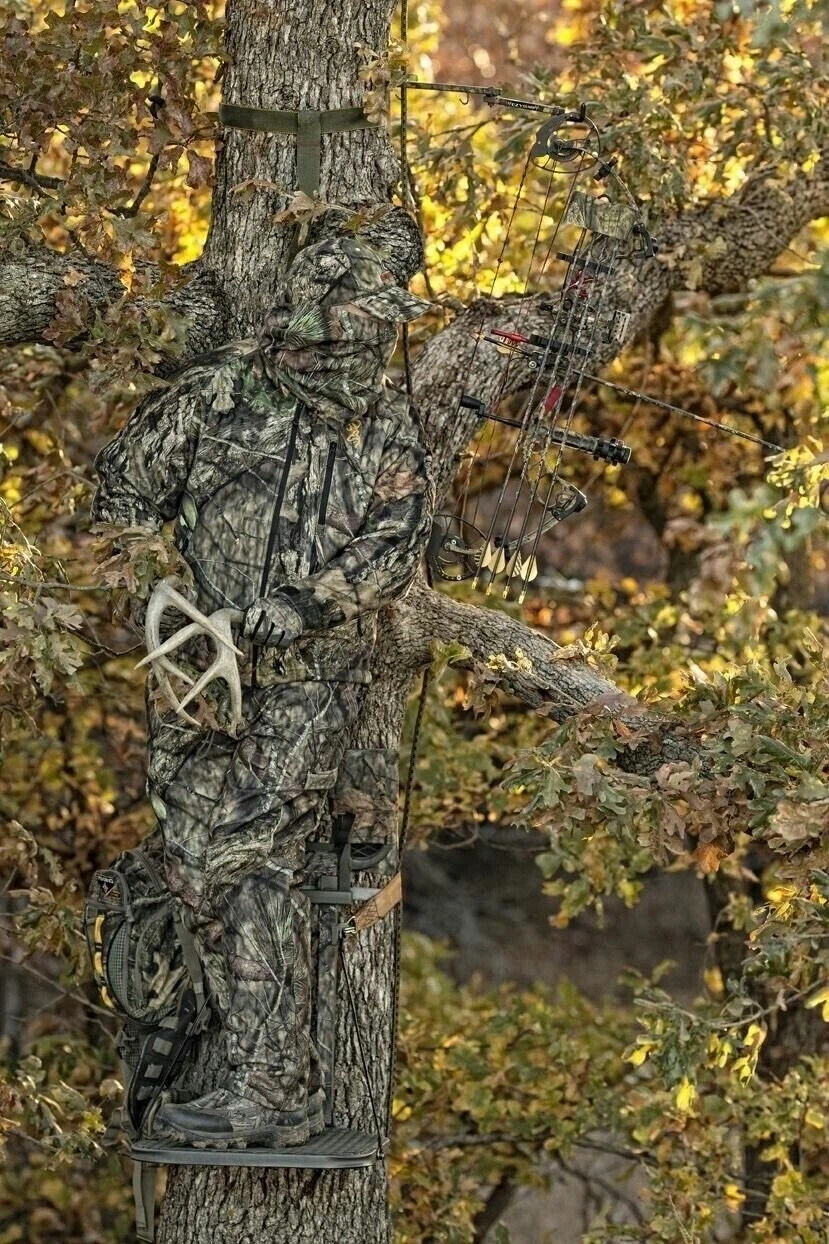 위장한 사냥꾼들.jpg_7.webp