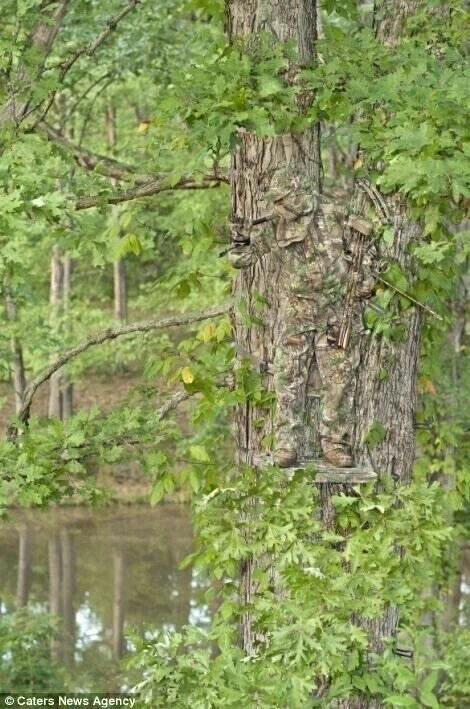 위장한 사냥꾼들.jpg_9.webp