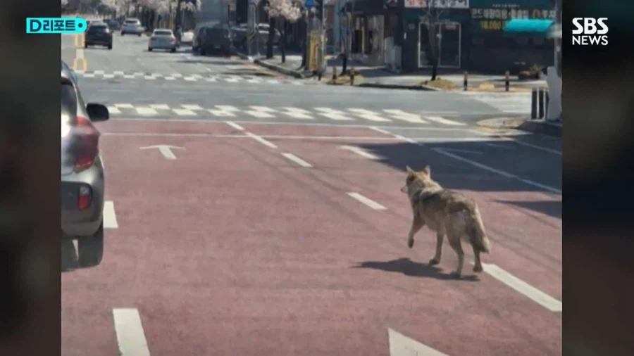 ai 거짓 제보 다 조져야 하는 이유_1.webp