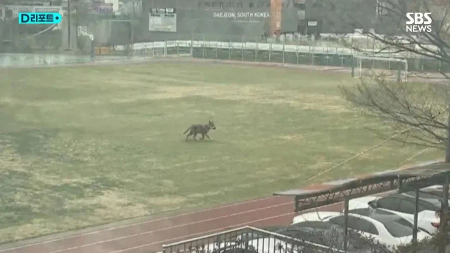 ai 거짓 제보 다 조져야 하는 이유_4.webp