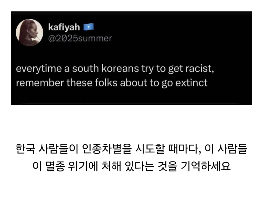 한국인들이 인종차별할때마다 기억하십쇼.JPG_1.webp