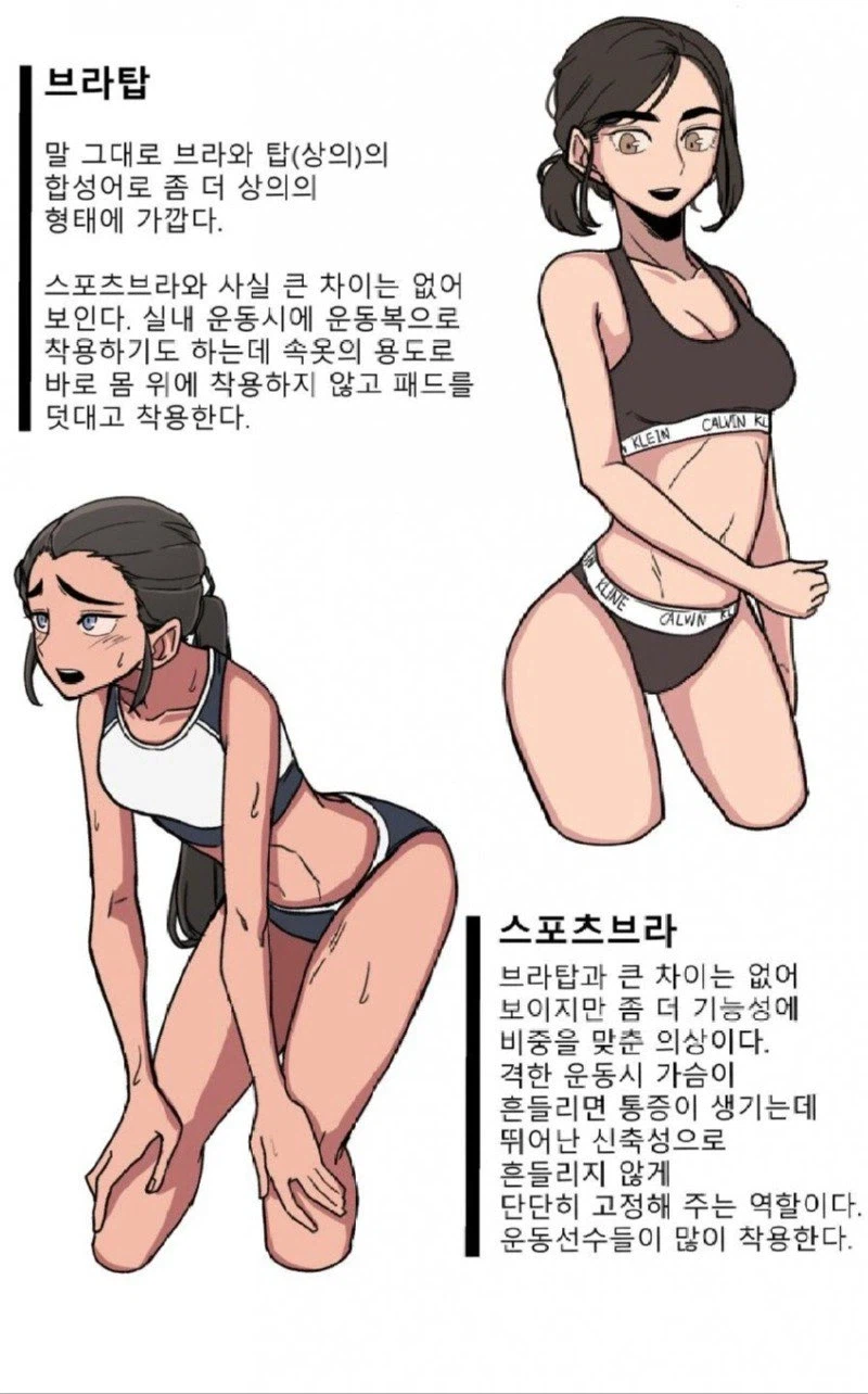알고나면 유익한 여성 속옷의 종류 jpg._4.webp