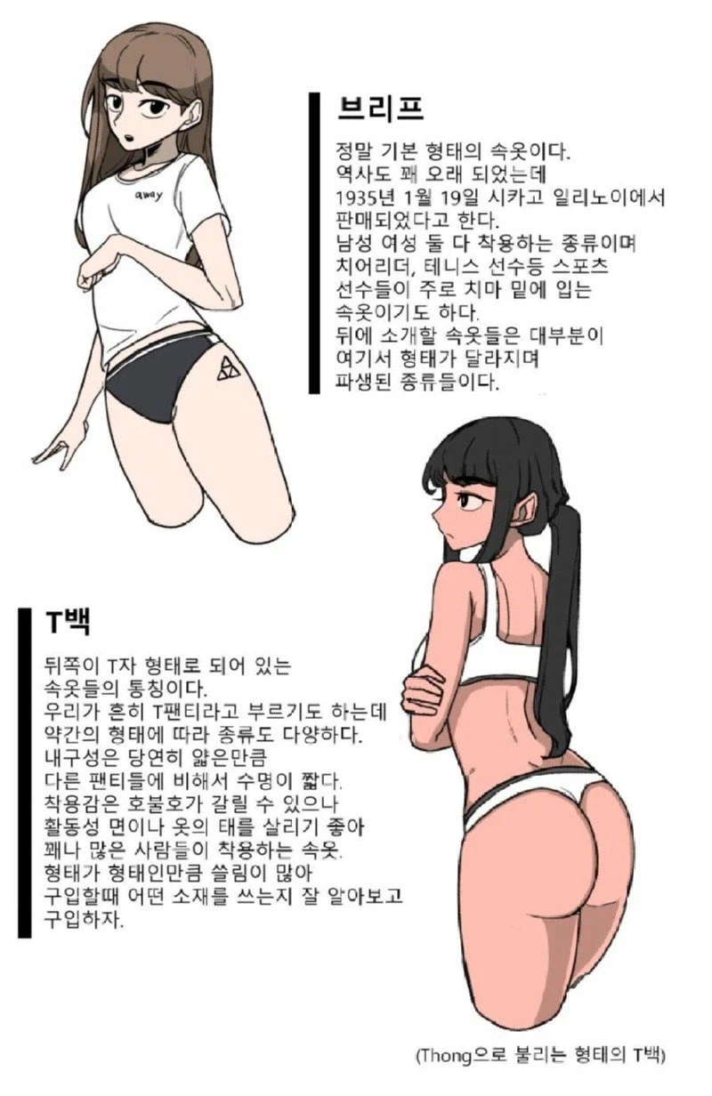 알고나면 유익한 여성 속옷의 종류 jpg._7.webp