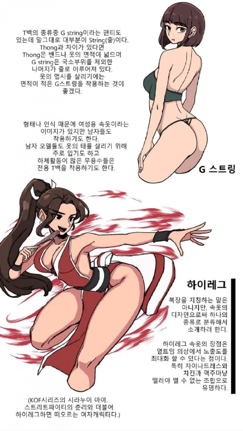 알고나면 유익한 여성 속옷의 종류 jpg._8.webp