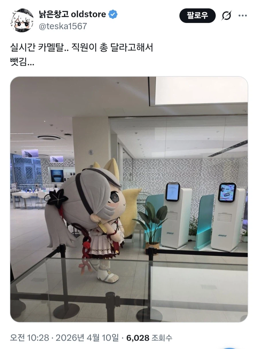 명조) 의외로 한국에서 금지되서 압수 당하는 물건.jpg_1.webp