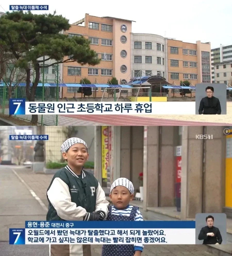 대전 늑대가 안타까운 어린이_1.webp